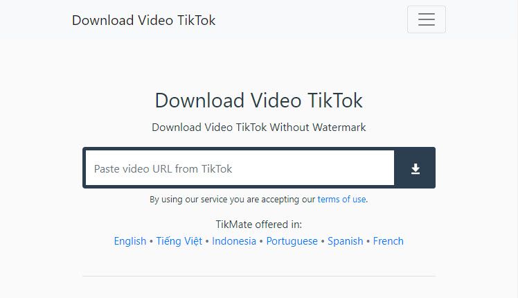 Download Video Tiktok Tiktok Downloader No Watermark By Tikmate